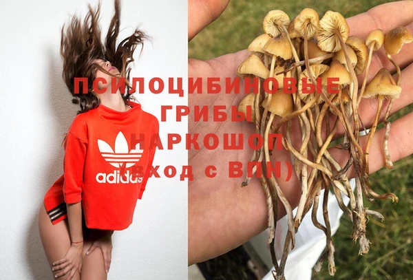 ешки Медвежьегорск